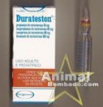 Durateston